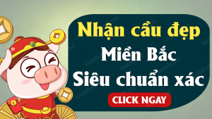 Dự đoán xổ số 12/12/2025
